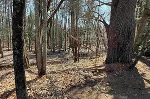 186 Deer Path Rd, Hopkinton, NH 03229 - Photo 27