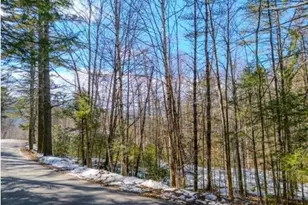 25 Mount Woodlands Rd, Thornton, NH 03285 - Photo 1