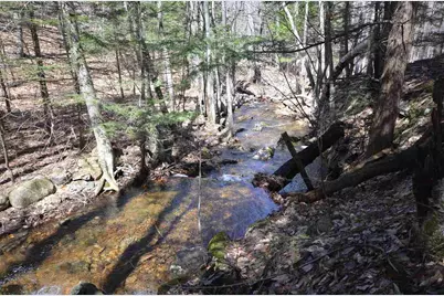 3 Damson Lane, Gilford, NH 03249 - Photo 49