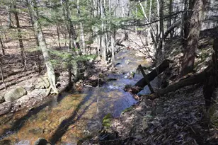 3 Damson Ln, Gilford, NH 03249 - Photo 49