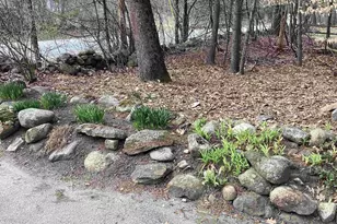 626 Forristall Rd, Rindge, NH 03461 - Photo 23