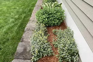 4 Otter Dr, Concord, NH 03301 - Photo 41