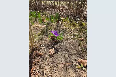 4 Eddy Drive, Boscawen, NH 03303 - Photo 21