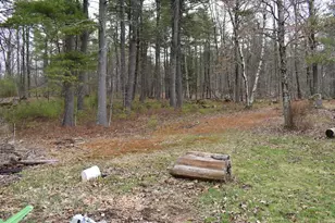 133 Mt Delight Rd, Deerfield, NH 03037 - Photo 37