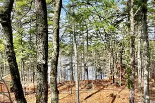 450 Belleau Blvd, Wakefield, NH 03830 - Photo 25