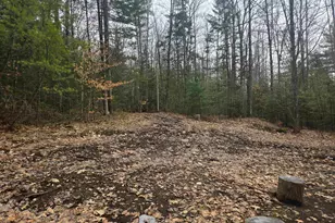 277 Foster Hill Rd, Bath, NH 03740 - Photo 5