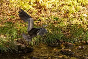 Lot 14 Old Mill Farm Rd, Hillsboro, NH 03244 - Photo 9