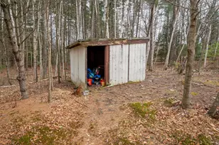 184 Bow Bog Rd, Bow, NH 03304 - Photo 31