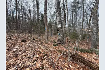 Hoyt Hill Road, Orange, NH 03741 - Photo 15