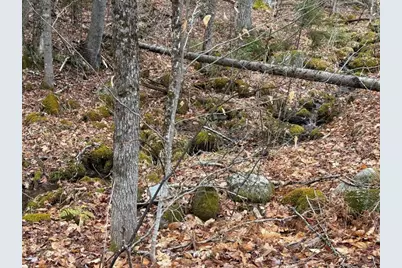 Hoyt Hill Road, Orange, NH 03741 - Photo 9