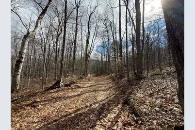 Hoyt Hill Road, Orange, NH 03741 - Photo 25