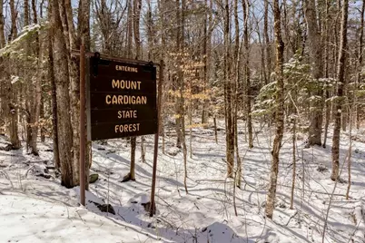 Hoyt Hill Road, Orange, NH 03741 - Photo 29