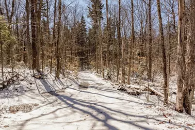 Hoyt Hill Road, Orange, NH 03741 - Photo 7