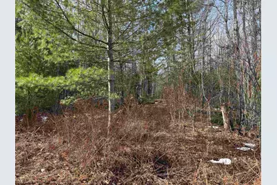 Hoyt Hill Road, Orange, NH 03741 - Photo 21