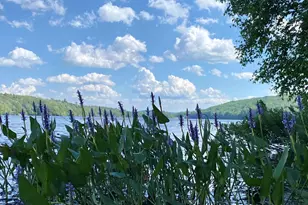 626 Otter Rd, Grantham, NH 03753 - Photo 35