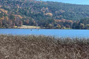 31 Post Pond Ln, Lyme, NH 03768 - Photo 9