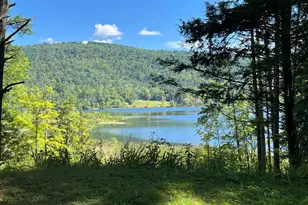 31 Post Pond Ln, Lyme, NH 03768 - Photo 3