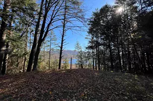 31 Post Pond Ln, Lyme, NH 03768 - Photo 3