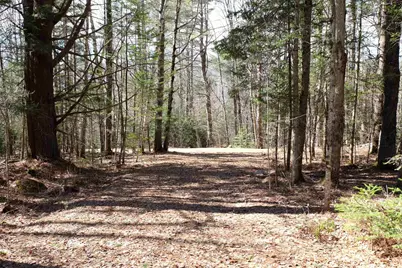 Cape Moonshine Road, Piermont, NH 03779 - Photo 19