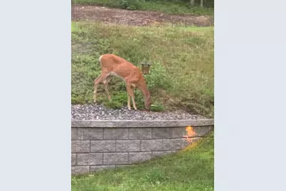 23 Valleyview Drive, Merrimack, NH 03054 - Photo 53