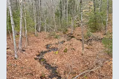 78 Hopper Road, Milton, NH 03851 - Photo 3