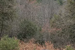 0 Greenwood Rd, Dublin, NH 03444 - Photo 1