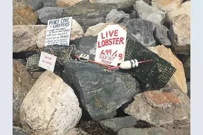 8 Norton Road, Hampton, NH 03842 - Photo 47