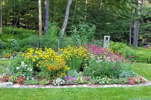 455 Hawk Pine Rd, Norwich, VT 05055 - Photo 5