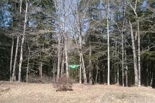 130 Texas Hill Rd, Plymouth, NH 03264 - Photo 17