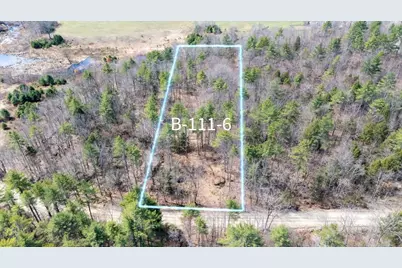 Tbd Jones Road, Hillsboro, NH 03244 - Photo 3