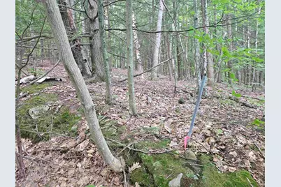 Map 132 Lot 115 Arrowhead Lane, Gilmanton, NH 03237 - Photo 3