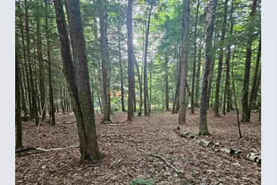 Map 132 Lot 115 Arrowhead Lane, Gilmanton, NH 03237 - Photo 1