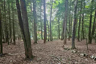 Map 132 Lot 115 Arrowhead Ln, Gilmanton, NH 03237 - Photo 1