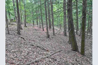 Map 132 Lot 115 Arrowhead Lane, Gilmanton, NH 03237 - Photo 5