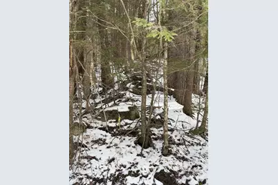 00 Hodgdon Road, Alexandria, NH 03222 - Photo 9