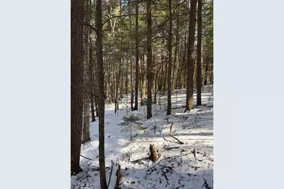00 Hodgdon Road, Alexandria, NH 03222 - Photo 5
