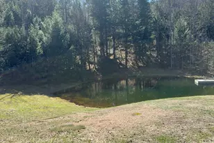 175 Pleasant Valley Rd, Springfield, VT 05156 - Photo 7