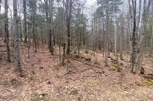 00 Winnipesaukee Dr, Wolfeboro, NH 03894 - Photo 25