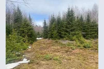 639 Pinnicle Road, Newark, VT 05871 - Photo 33