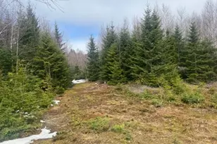 639 Pinnicle Rd, Newark, VT 05871 - Photo 33