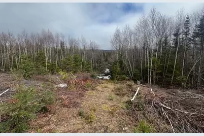 639 Pinnicle Road, Newark, VT 05871 - Photo 37