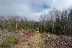 639 Pinnicle Rd, Newark, VT 05871 - Photo 37