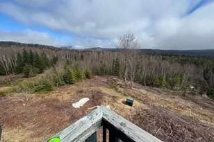 639 Pinnicle Rd, Newark, VT 05871 - Photo 21