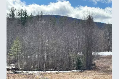 86 Mountain Road, Greenfield, NH 03047 - Photo 1