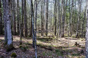 1799 Coppermine Rd, Monroe, NH 03771 - Photo 41