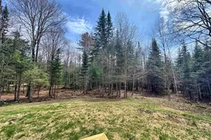 137 Keyes Hollow Rd, Lempster, NH 03605 - Photo 19