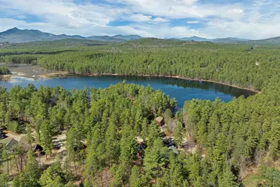 206 East Chocorua River Drive, Tamworth, NH 03886 - Photo 3