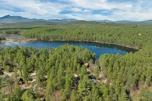 206 E Chocorua River Dr, Tamworth, NH 03886 - Photo 3