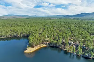 206 E Chocorua River Dr, Tamworth, NH 03886 - Photo 53