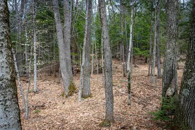 00 Rte 153/ Eaton Road, Eaton, NH 03832 - Photo 19